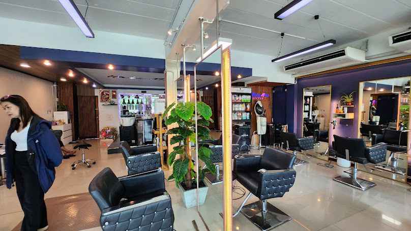 Hairmax sector 2 - 1