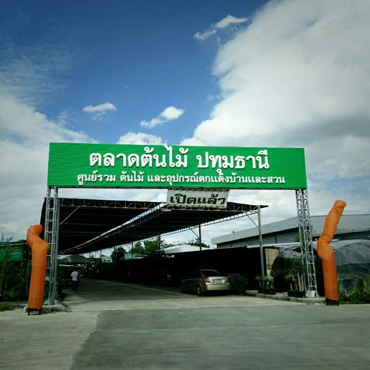 Hidden farm - 1