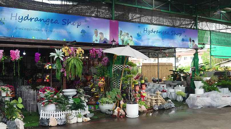 Hydeangea Shop-อุปกรณ์​ตกแต่งบ้าน สวนและไม้งาม - 3