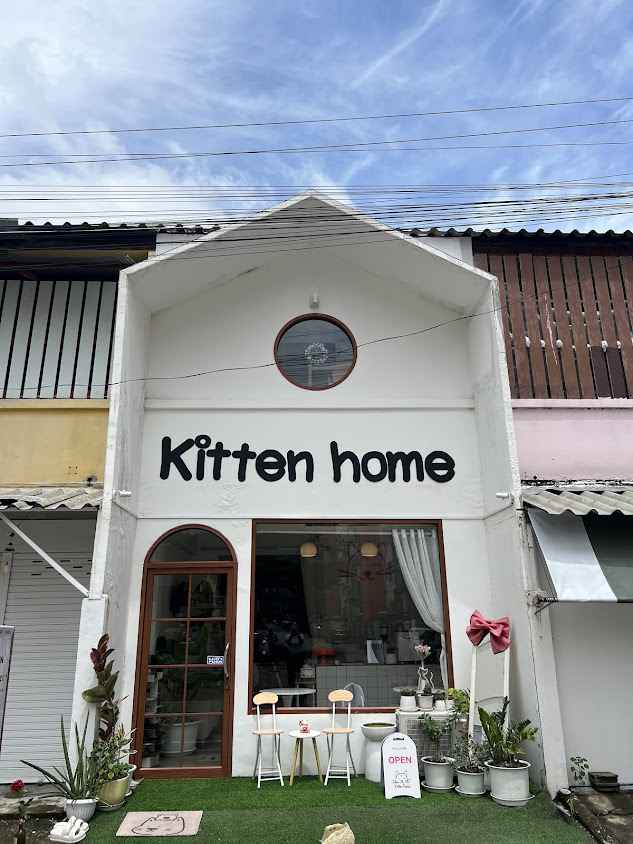 Kitten home (เจ็ดยอด)