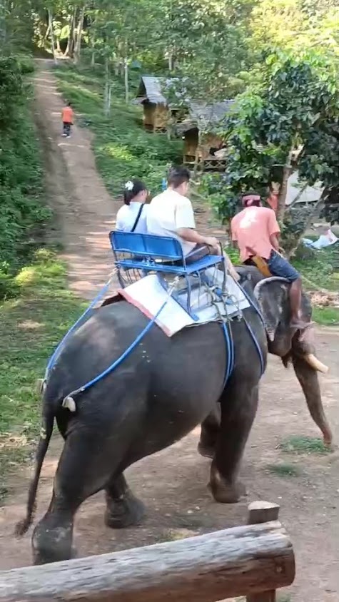 Krabi travel and transport Ltd.,part - 3