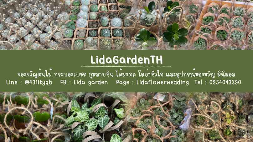 Lidagarden - 2