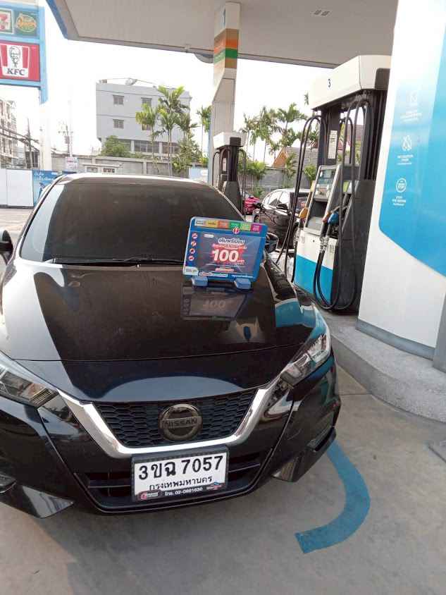 Lion Carrent - 2