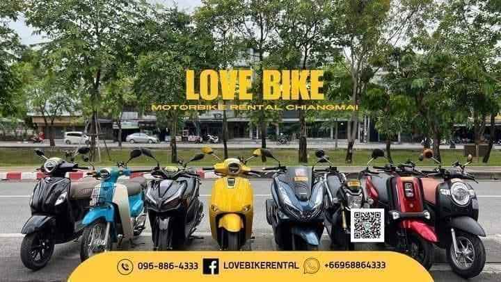 Love bike rental รถเช่า