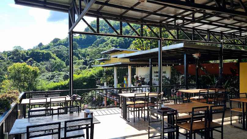 Max Wine & Coffee on the Hill