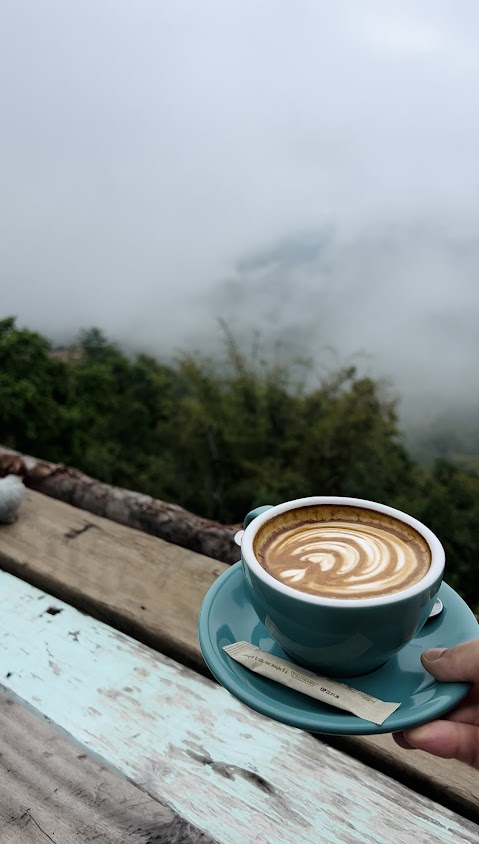 MiYo coffee & bar - 4