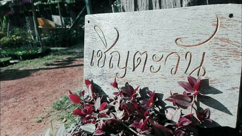 MJ BIG GARDEN สาขาโคกกลาง - 4