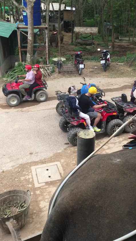 Moterbike rent by tour on trend - 3
