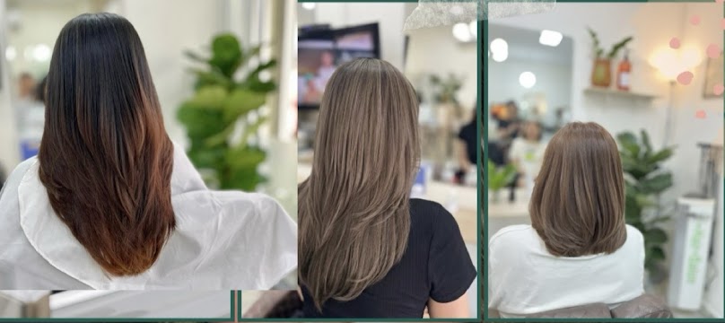 Hair House by Venus