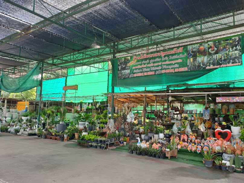My Plants ต้นไม้มงคล - 2