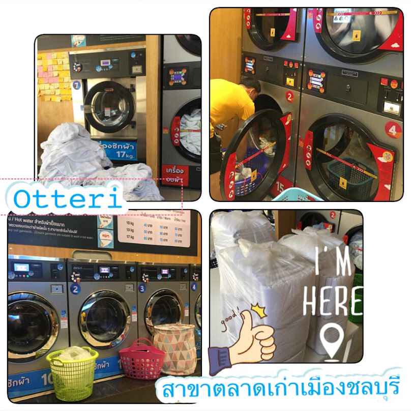 Otteri wash & dry สาขาตลาดเก่าเมืองชลบุรี - 2