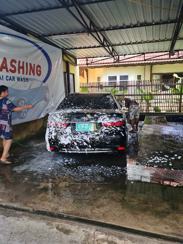 Panda clean car - 4