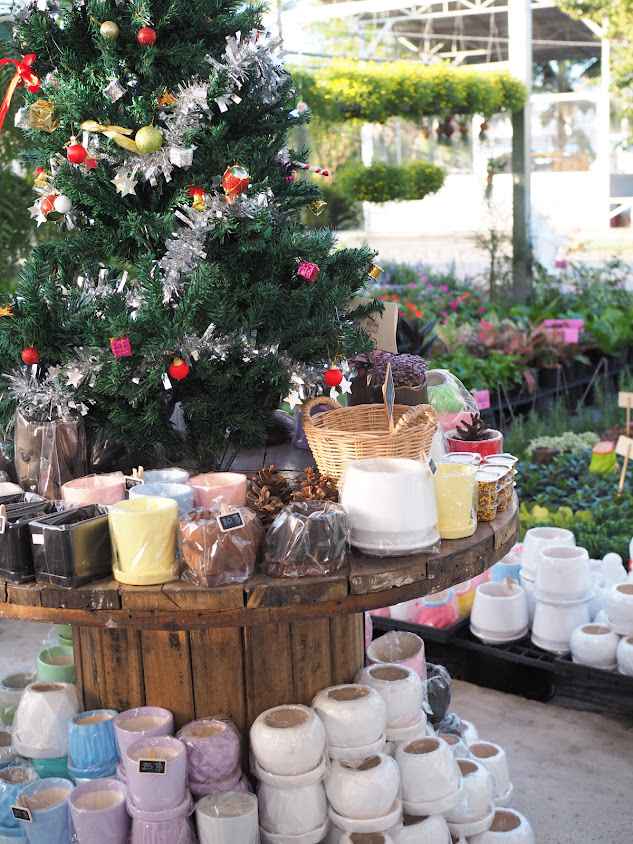 ParadaGarden(ภราดาการ์เด้น) - 3