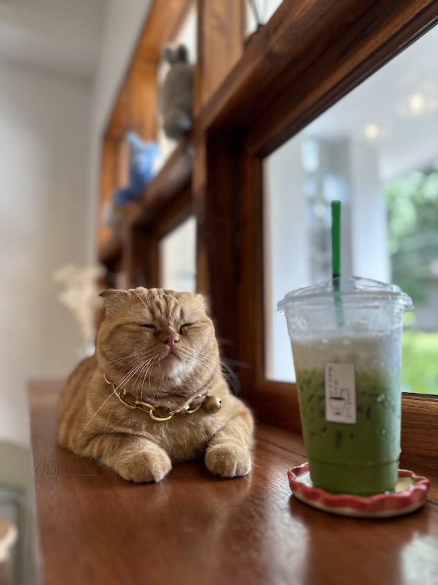 PAZZY BAR แพทซี่บาร์ - 4