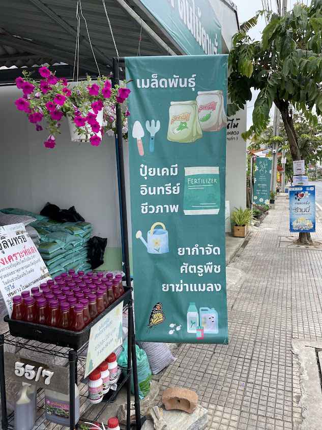 Peace and Plant (กระถางสวนหลวง)
