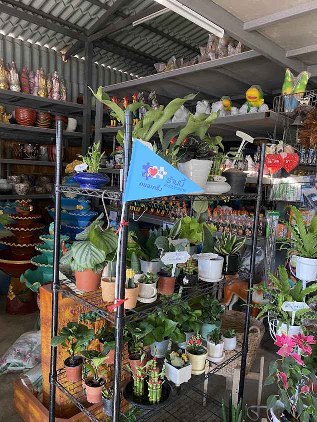 Peace and Plant (กระถางสวนหลวง) - 3