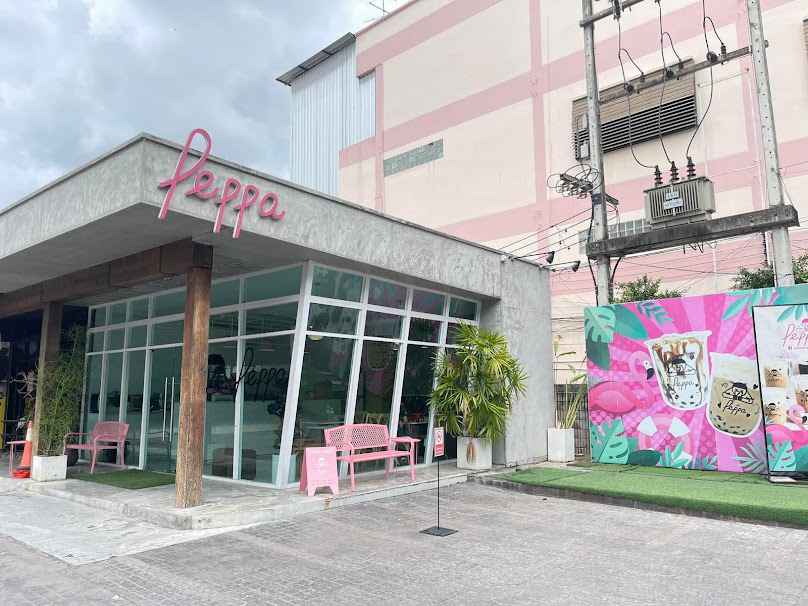 PEPPA CARWASH ซักเบาะ พรมรถยนต์ ล้างอัดฉีด - 2