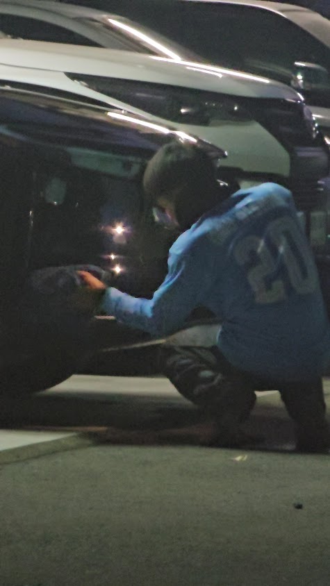 Perfect Carcare - 3