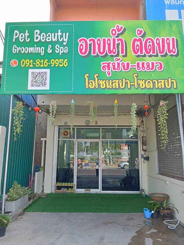 Pet Beauty อาบน้ำตัดขนแยกดอนแจง - 2