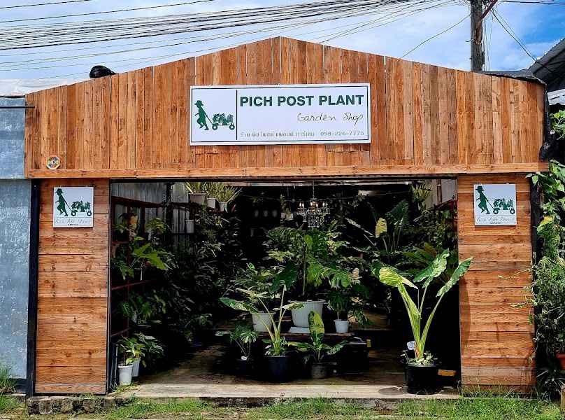 pich post plant garden - 1