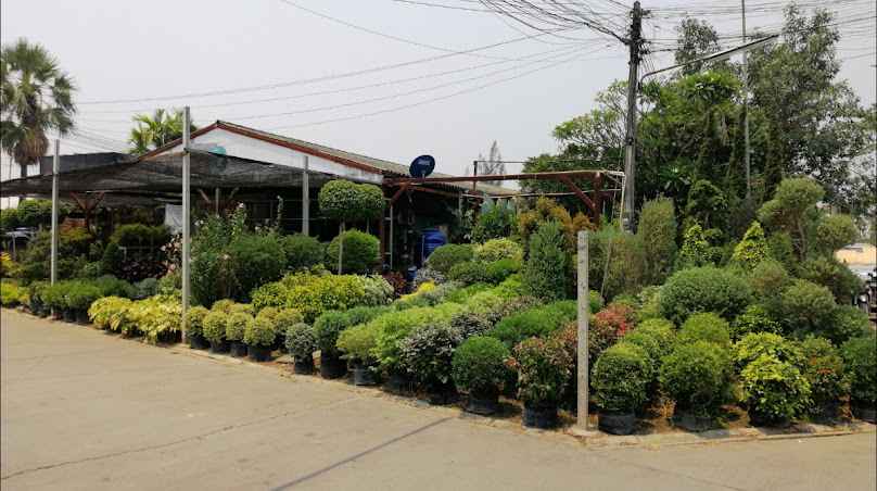 Plant Lover (สวนโชติกา)