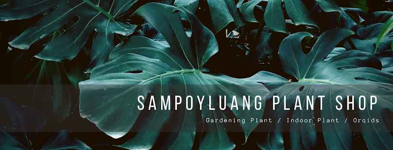 Plant Lover (สวนโชติกา) - 2