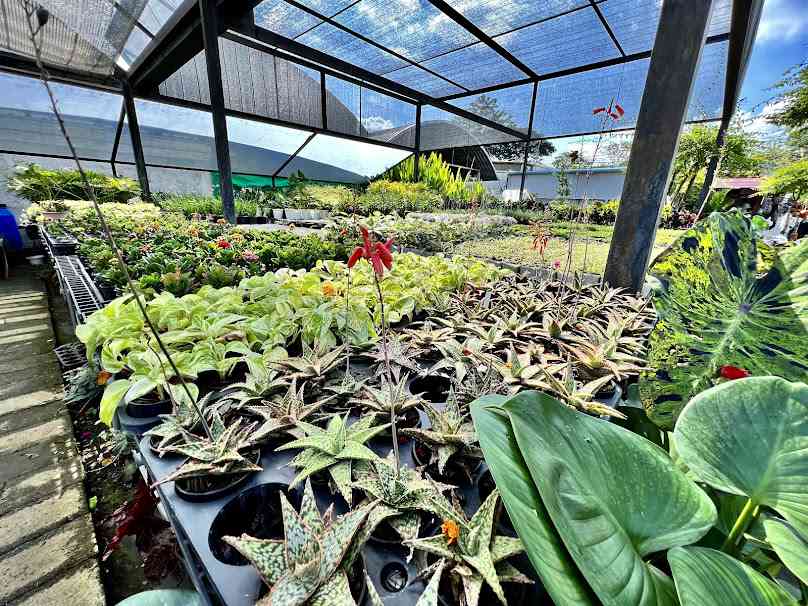 Plant Lover (สวนโชติกา) - 3