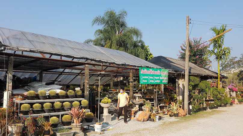 Popular Plants - 1