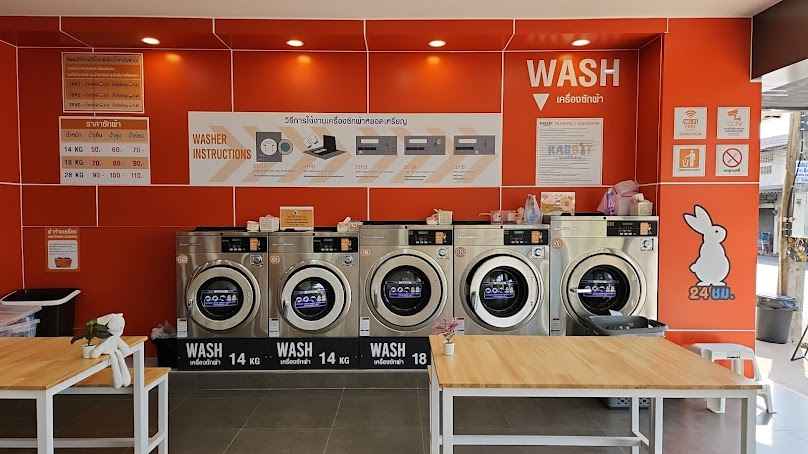 Rabbit Wash & Dry - 3
