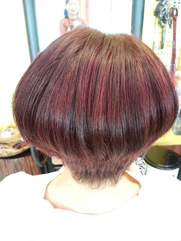 Sasicha Salon