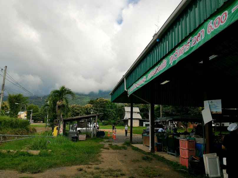Saturday Organic Market