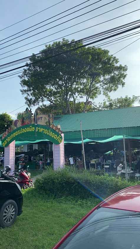 Saturday Organic Market - 3