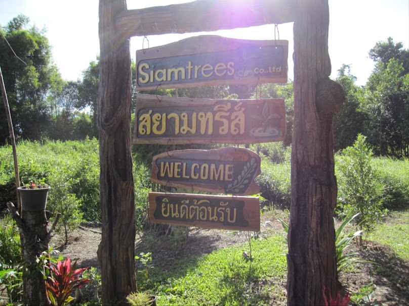 Siamtrees Co.Ltd.