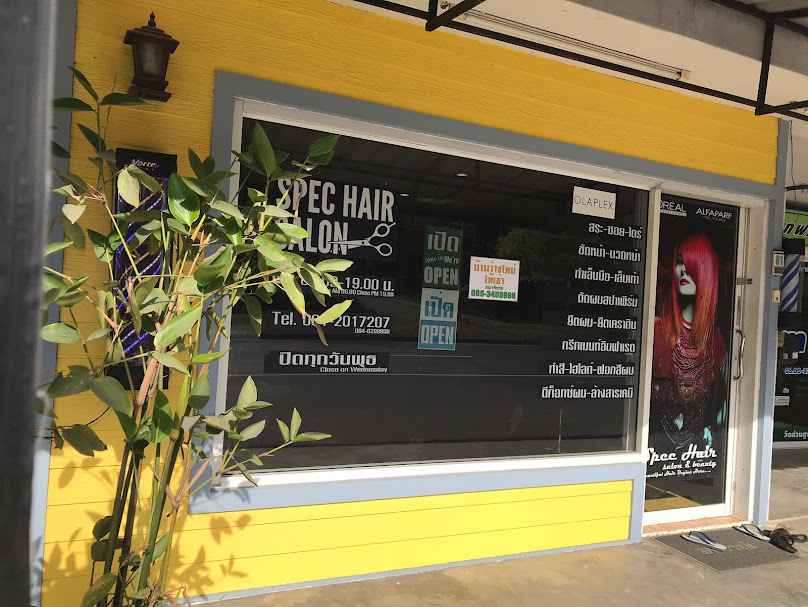 SPEC HAIR - 2