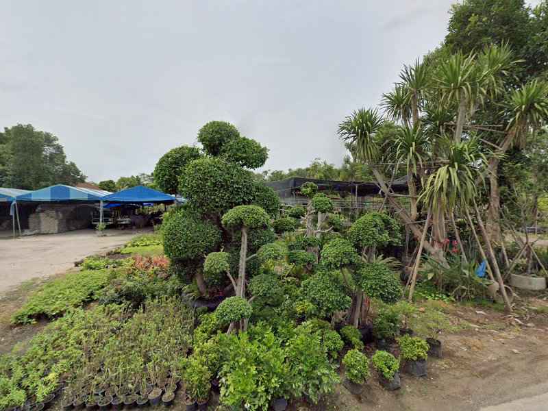 Sunee garden - 4