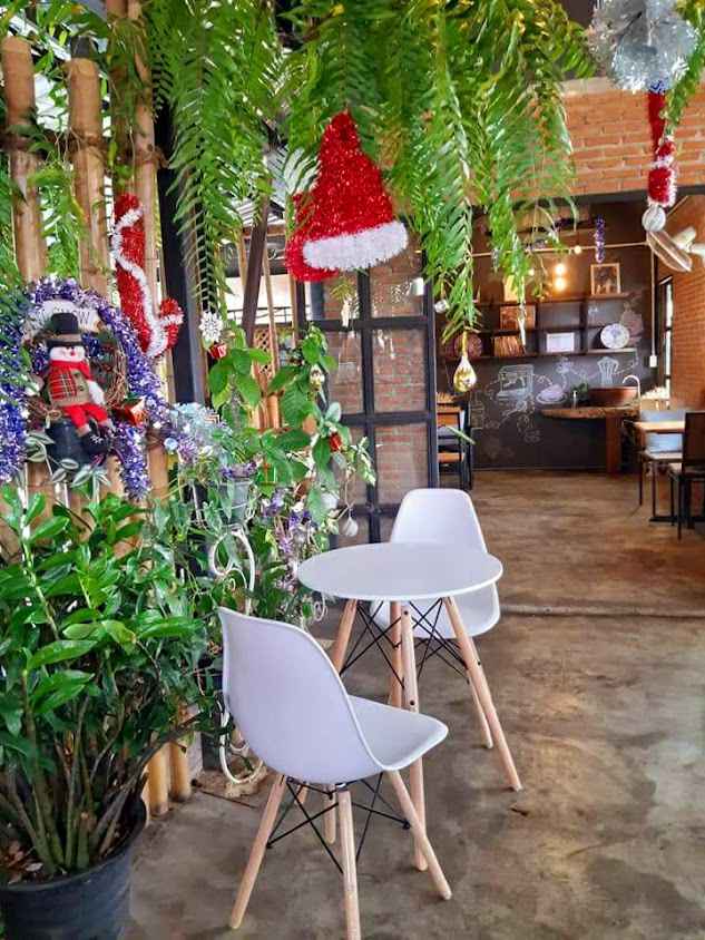 Tara Coffee Chiang Mai