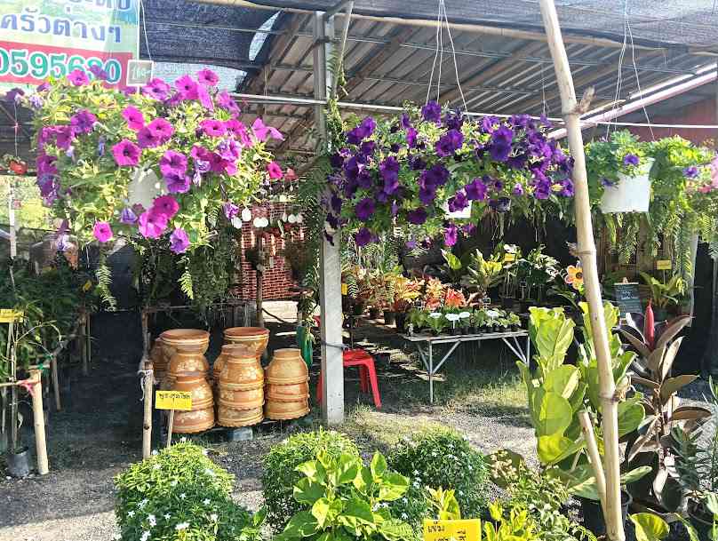 The Garden Corner Cafe by Rainy รุ่งรัศมิ์พันธุ์ไม้สาขา 2