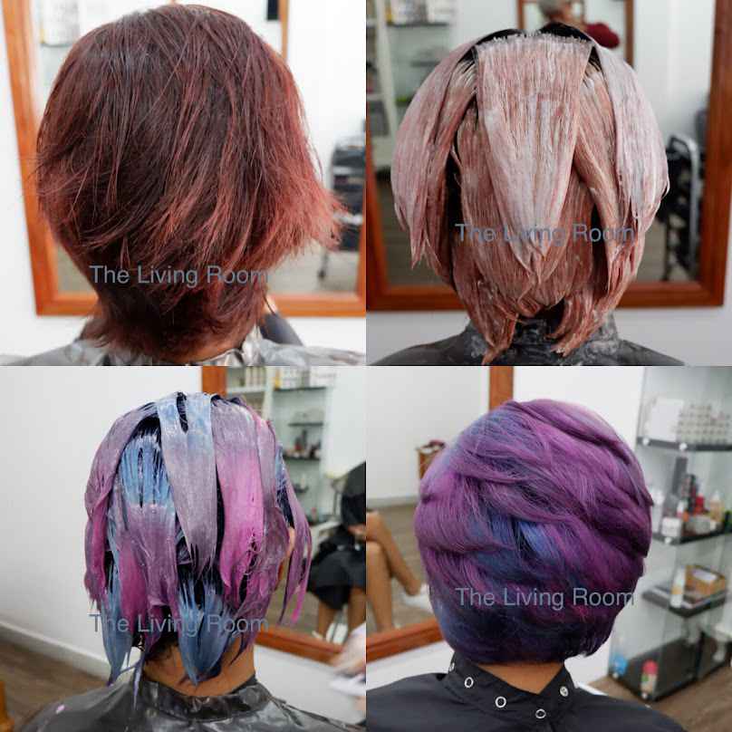 The Living Roon Msn's Salon Surin - 3