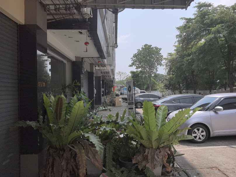The Memories Massage - 2