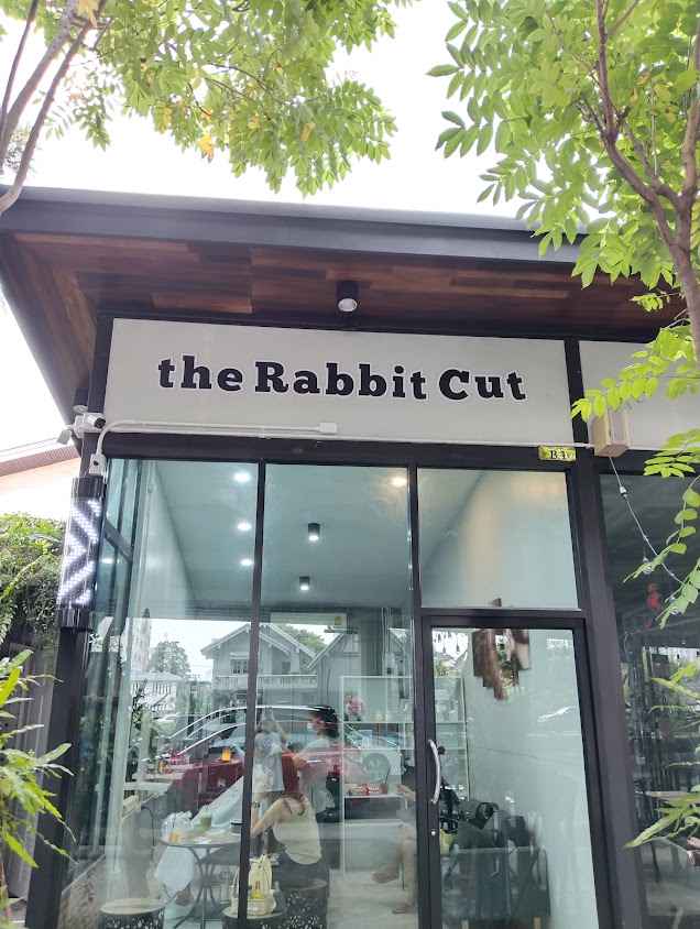 The Rabbit Cut - 2