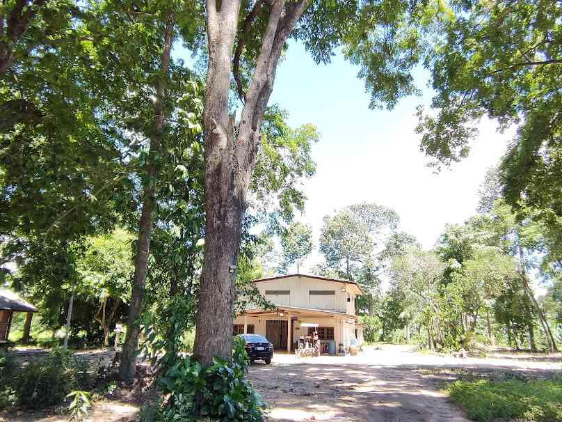 The Tree Shop - 1