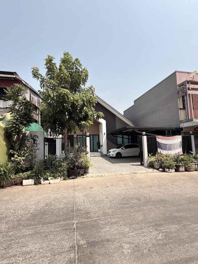 The wisdom house
