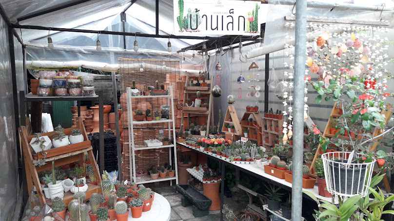 Tipp Garden (สวนทิพพ์)