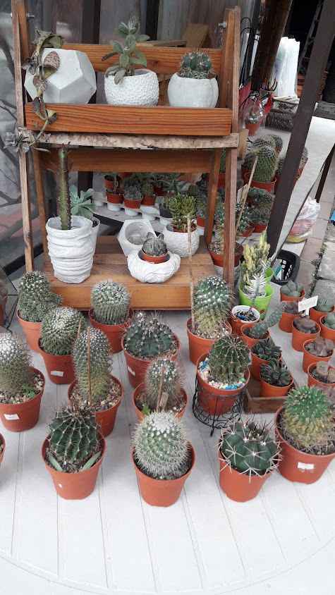 Tipp Garden (สวนทิพพ์) - 2