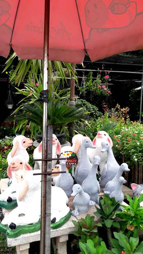 Tipp Garden (สวนทิพพ์) - 4