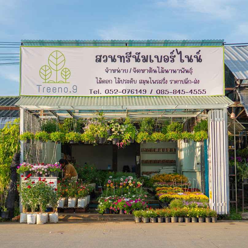 Treeno.9 สาขาตลาดต้นไม้คำเที่ยง