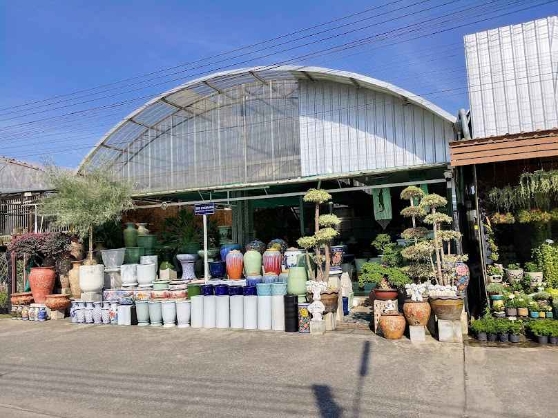 Treeno.9 สาขาตลาดต้นไม้คำเที่ยง - 4