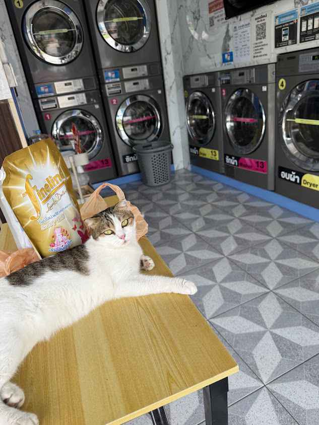 U wash ร้านสะดวกซัก 24 ชั่วโมง สาขาถ้ำเสือ