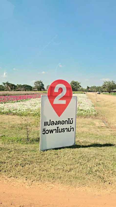 Van with driver for rent by Vi VanVip - 3