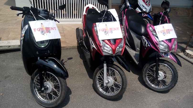 Vanessa's motorbike hire